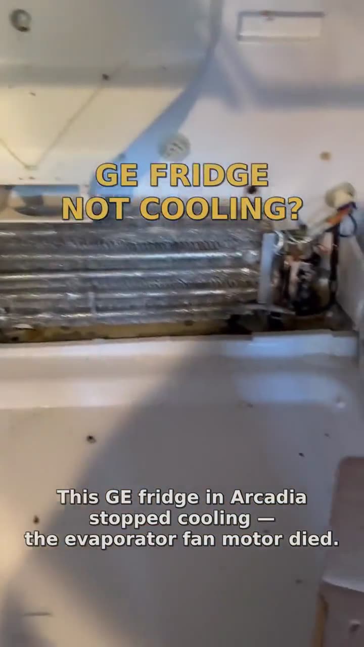 GE Fridge Not Cooling — Evaporator Fan Replacement in Arcadia